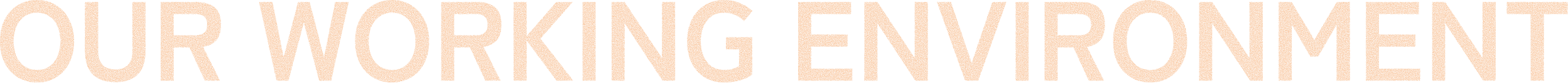 OUR WORKING ENVIRONMENT